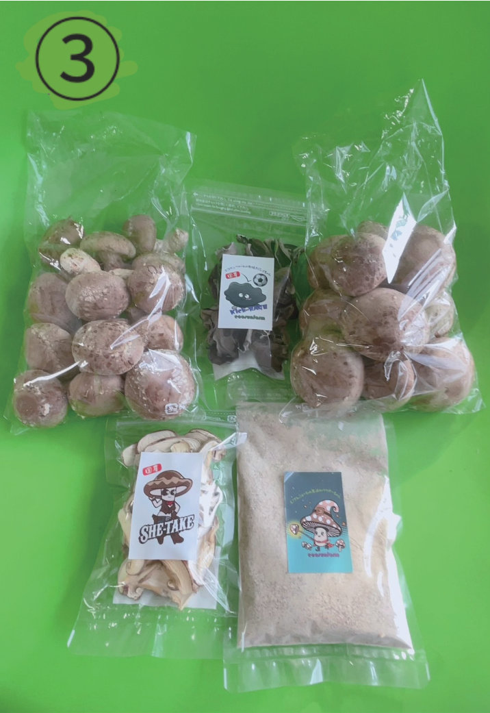 ③生しいたけ+きくらげ(乾燥)+干しスライス+パウダー